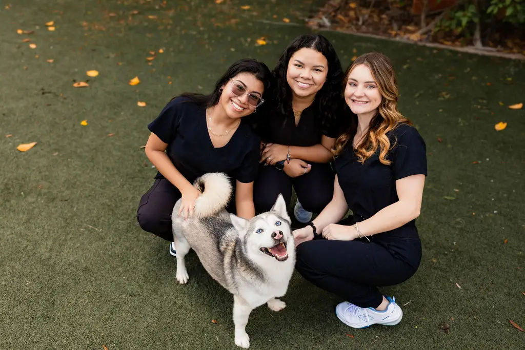 Three veterinary team members kneeling outdoors with a smiling Siberian husky on a grassy play area